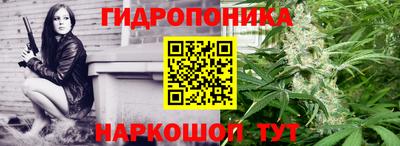 шишки Краснодар