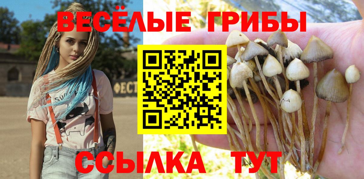 Псилоцибиновые грибы Psilocybine cubensis  Псилоцибиновые грибы ЛСД  Вход с VPN  Воркута 