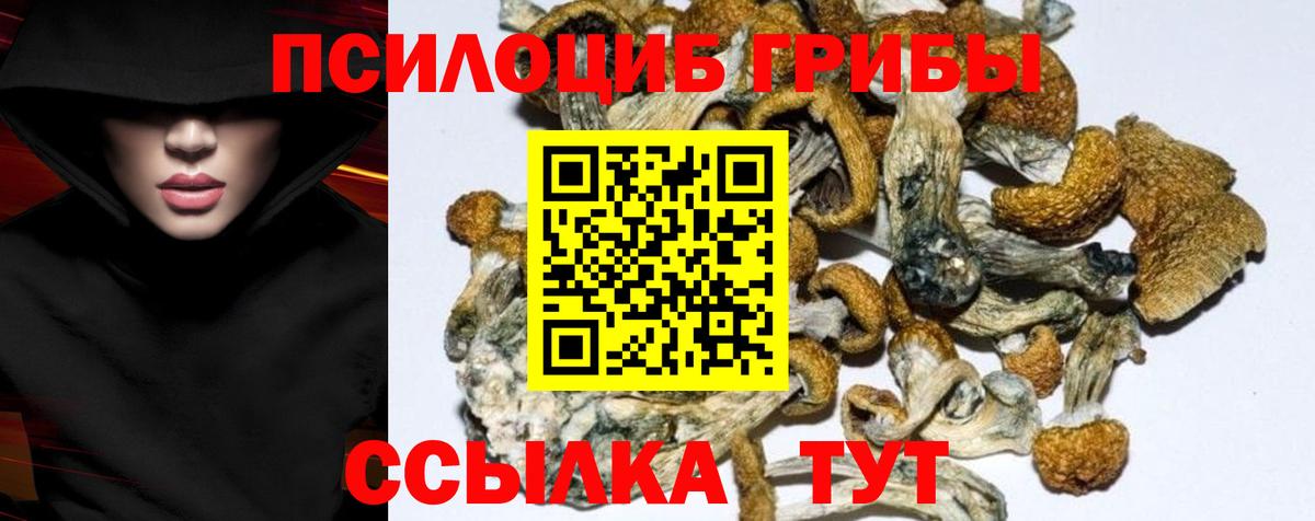 Галлюциногенные грибы GOLDEN TEACHER Воркута
